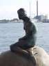 P8111116.html