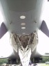 B1 Nose voor.html