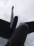 B1 Tail up.html