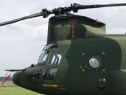 Chinook nose.html