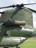 Chinook tail.html