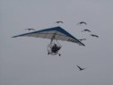 Moulec 2.html