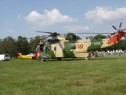 Seaking 1.html