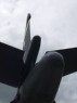 b1_tail_up.html
