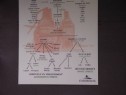 DSC00621.html