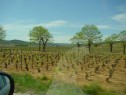 DSC00644.html