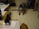 DSC01477.html
