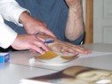 P5204217.html