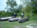 SIMG0626.html