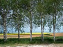 HPIM3884.html