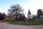 DCP_1805.html