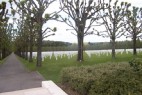 DCP_1807.html