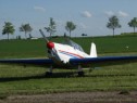 P5019349.html