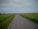 SIMG1542.html