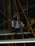 P3168922.html