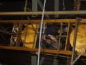 P3168926.html